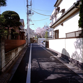 Ducati Songo + Dugon 19mmF6.3