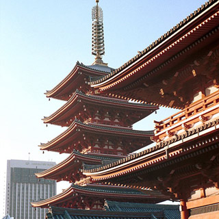 ズノー　ズノー50mmF1.8