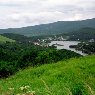 ミロフレックスA (859/3)　テッサー120mmF4.5